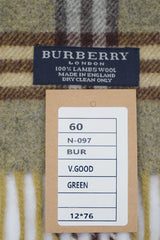 Burberry Pre-Owned Check Lambswool Green Scarf