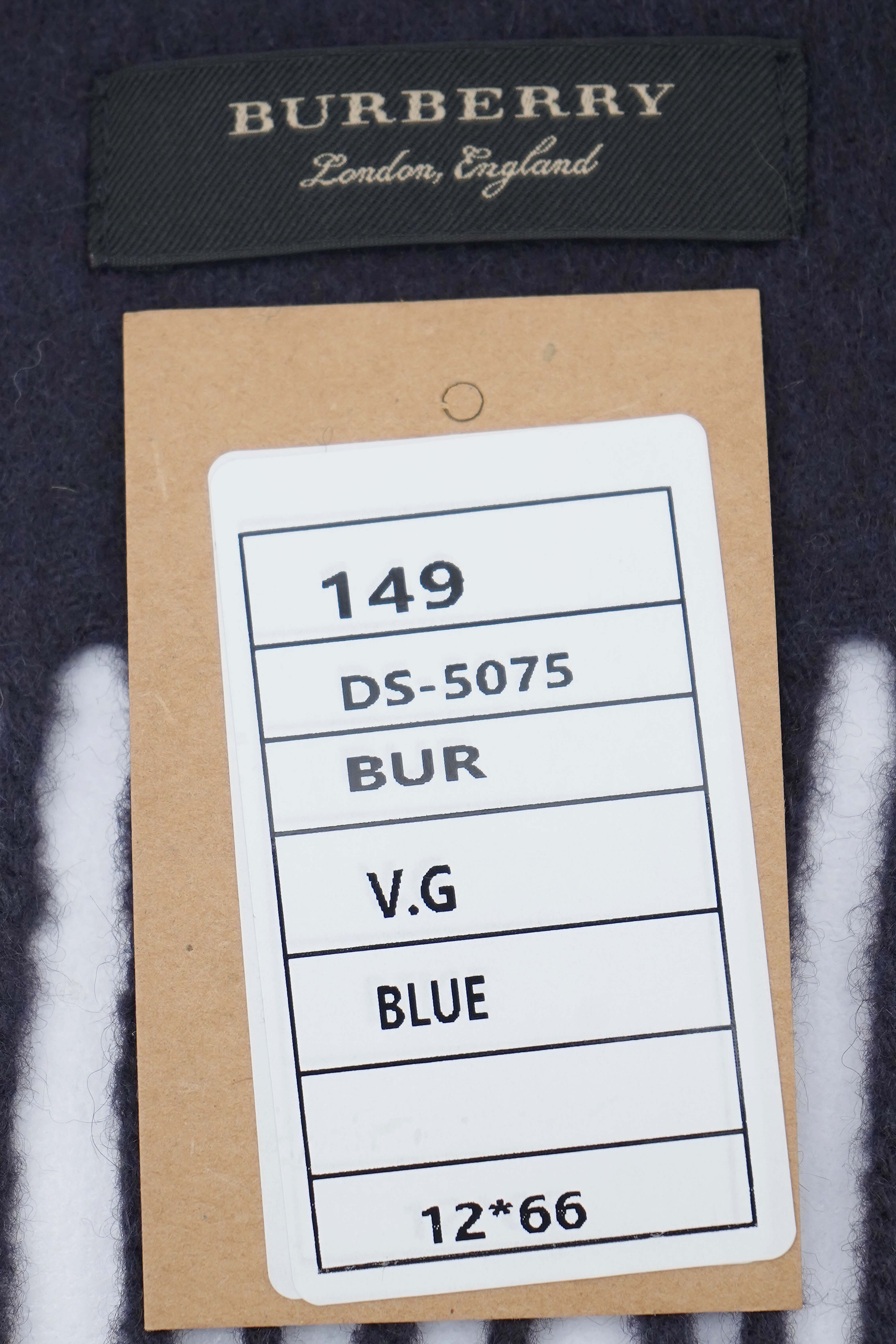 Logo Cashmere Blue Scarf