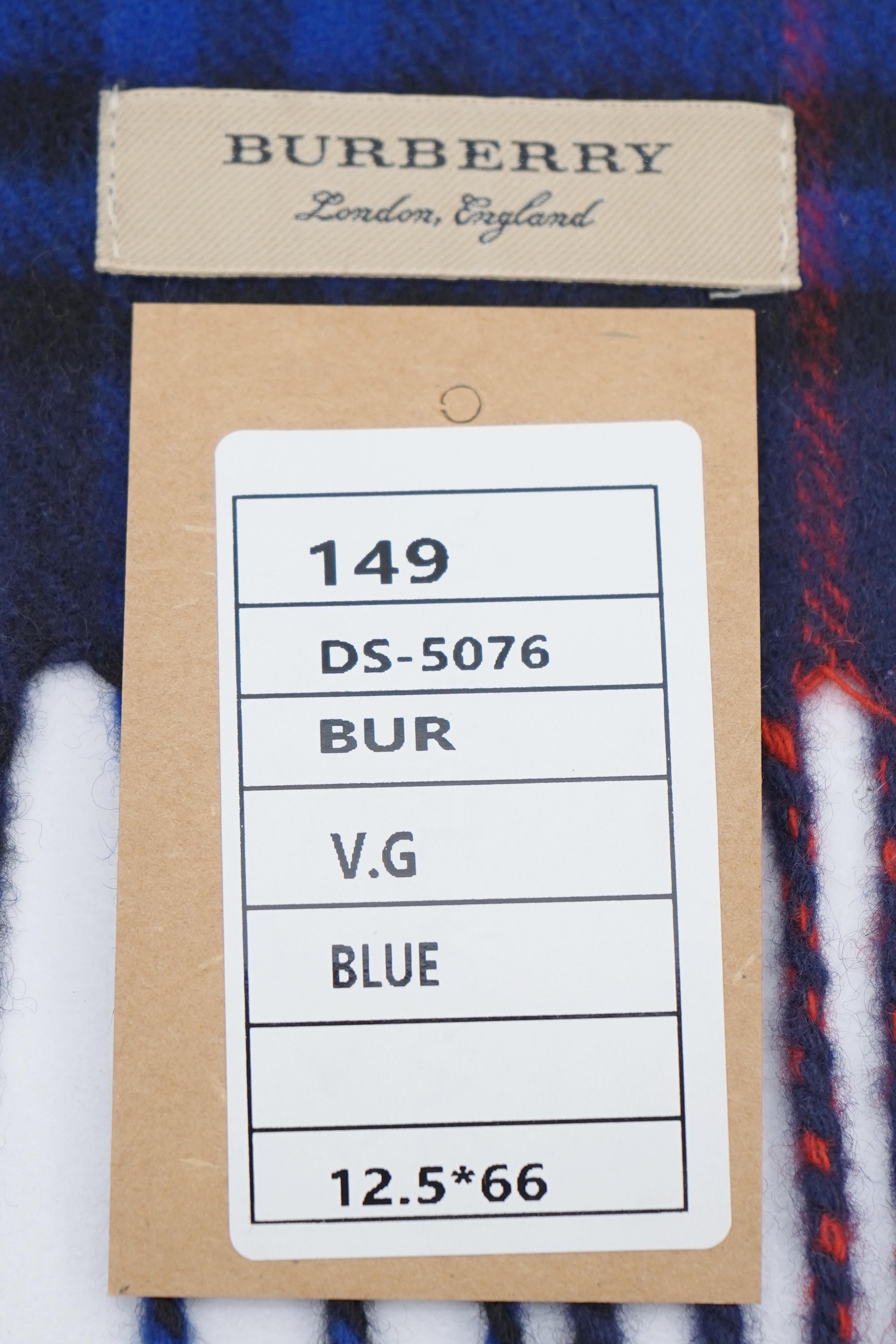Classic Check Cashmere Blue Scarf