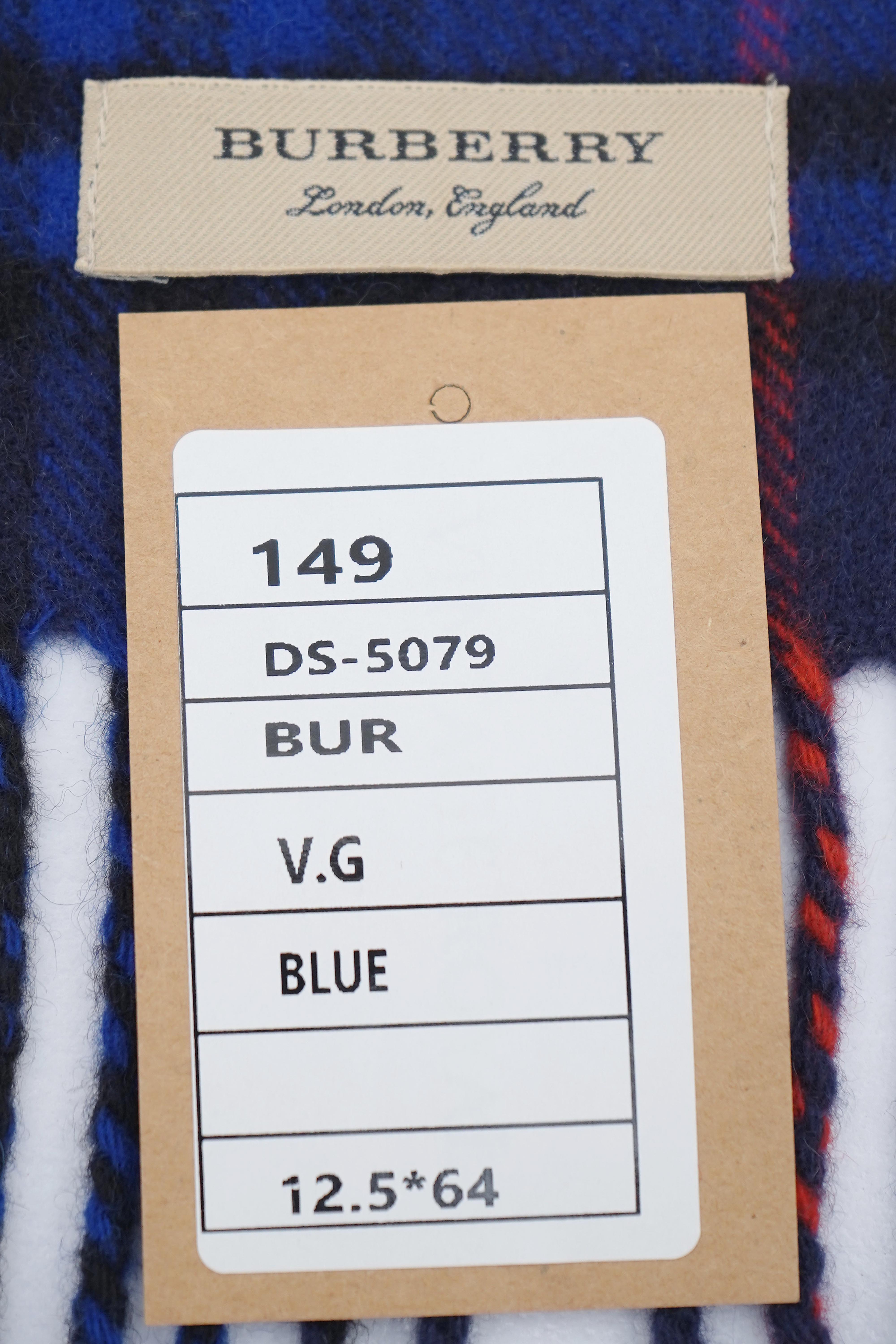 Classic Check Cashmere Blue Scarf