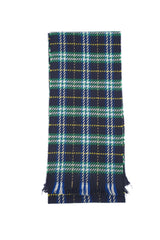 Burberry Pre-Owned Check Merino Wool Green Scarf